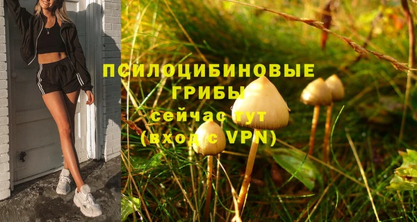 герыч Алзамай